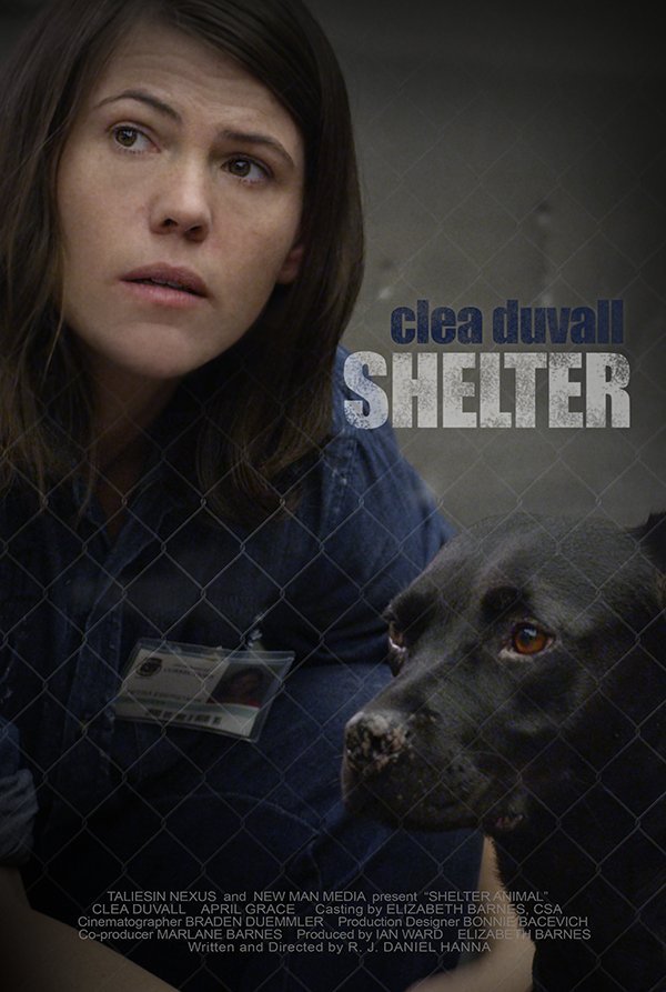 shelter poster